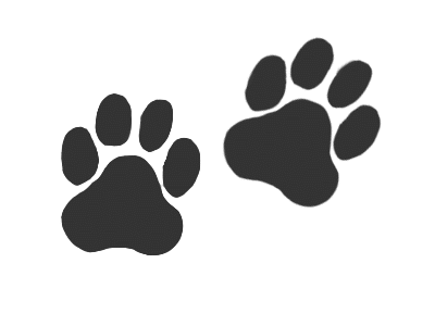 Tiger Footprint Image